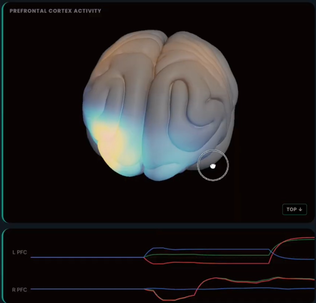 Prefrontal cortex activity visualisation and paired L PFC and R PFC biosignal traces